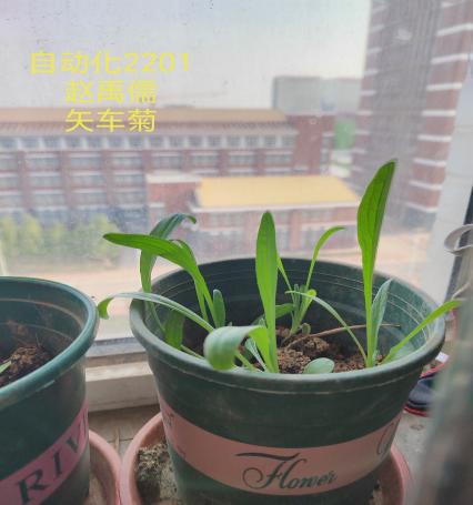 8.jpg 雷竞技RAYBET