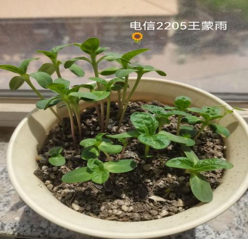 雷竞技RAYBET